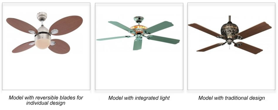 Success Story Of The Ceiling Fan