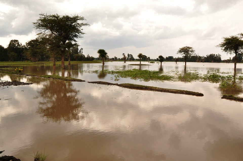 Flooding damage